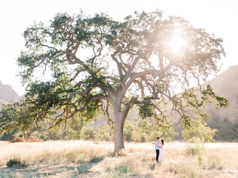 Malibu Creek State Park Engagement Photo