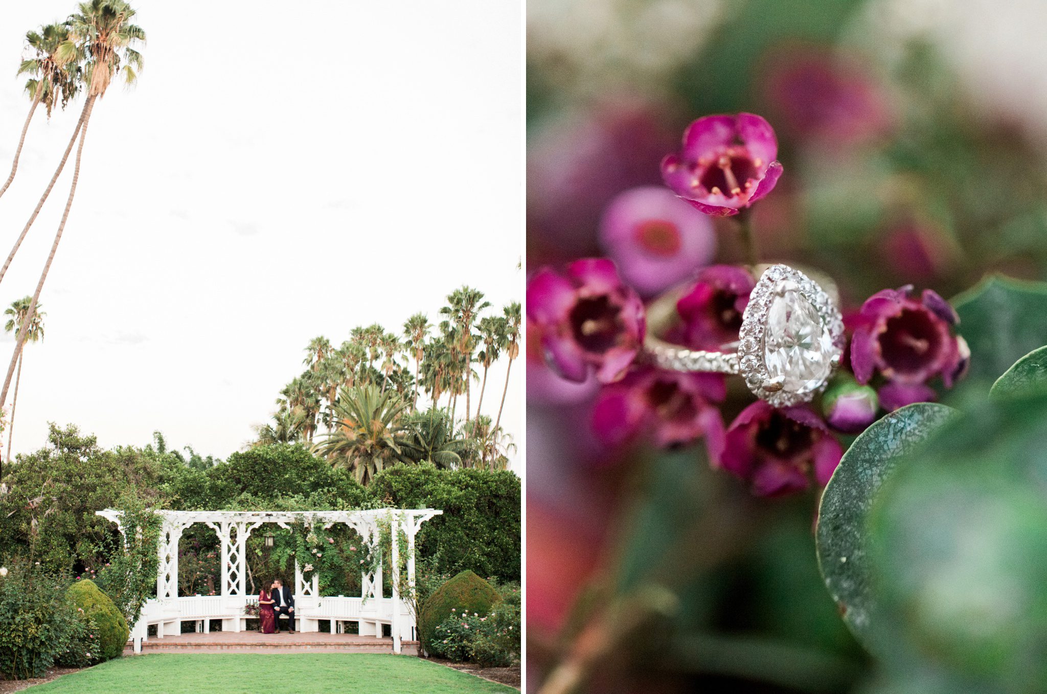 LA Arboretum Engagement Photo