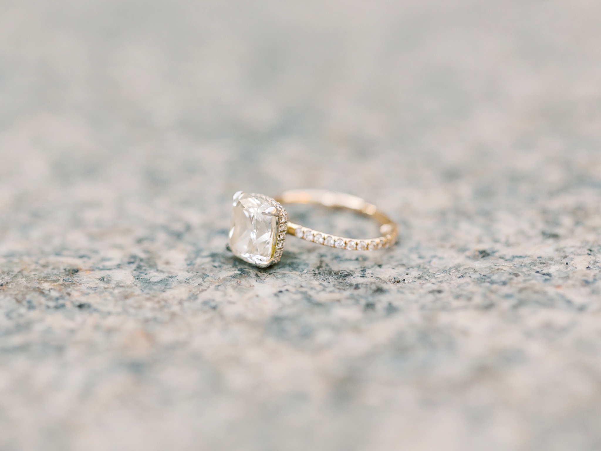 Central Park Engagement Ring