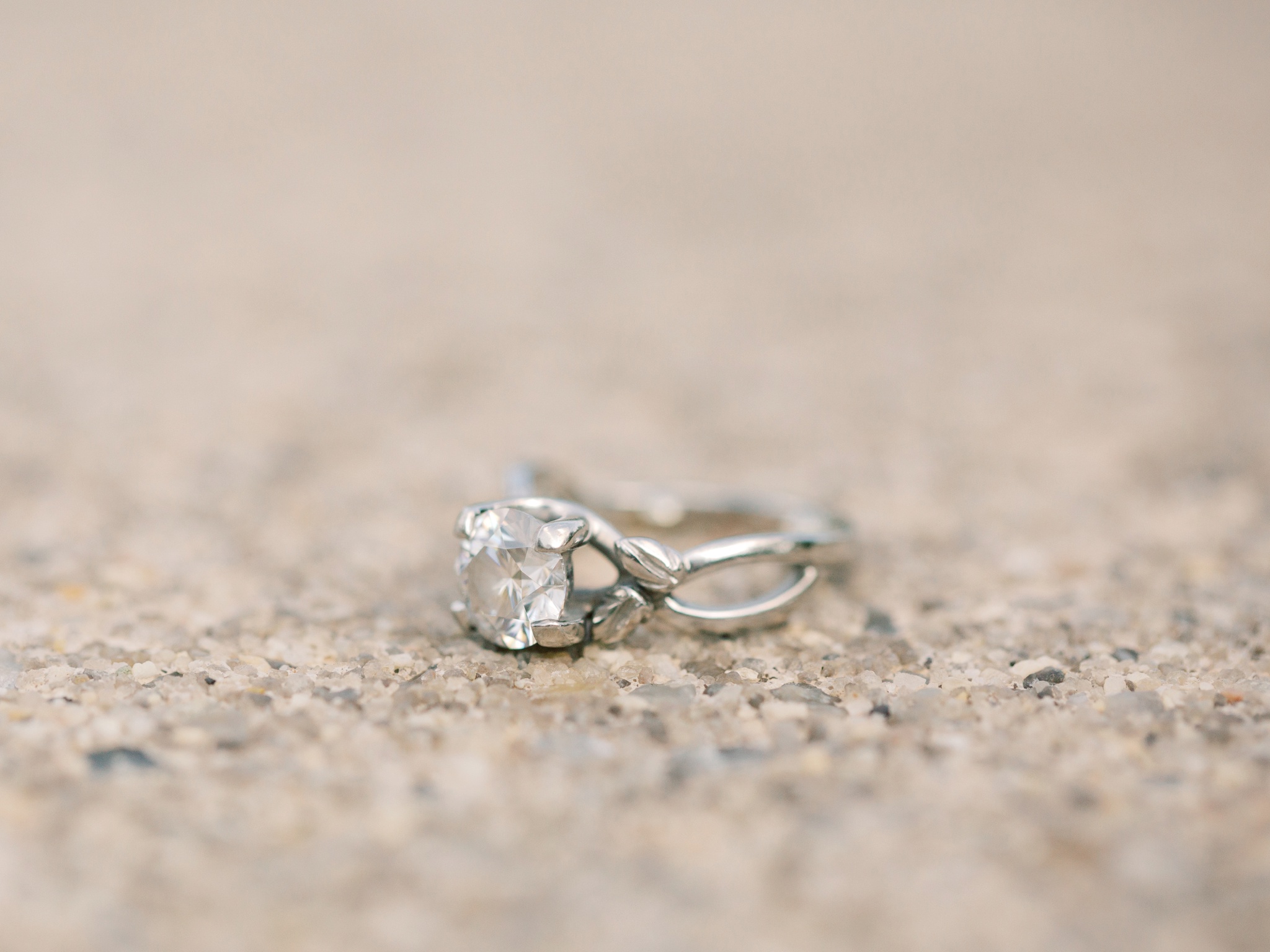 Norfolk Botanical Garden Virginia Engagement Photo