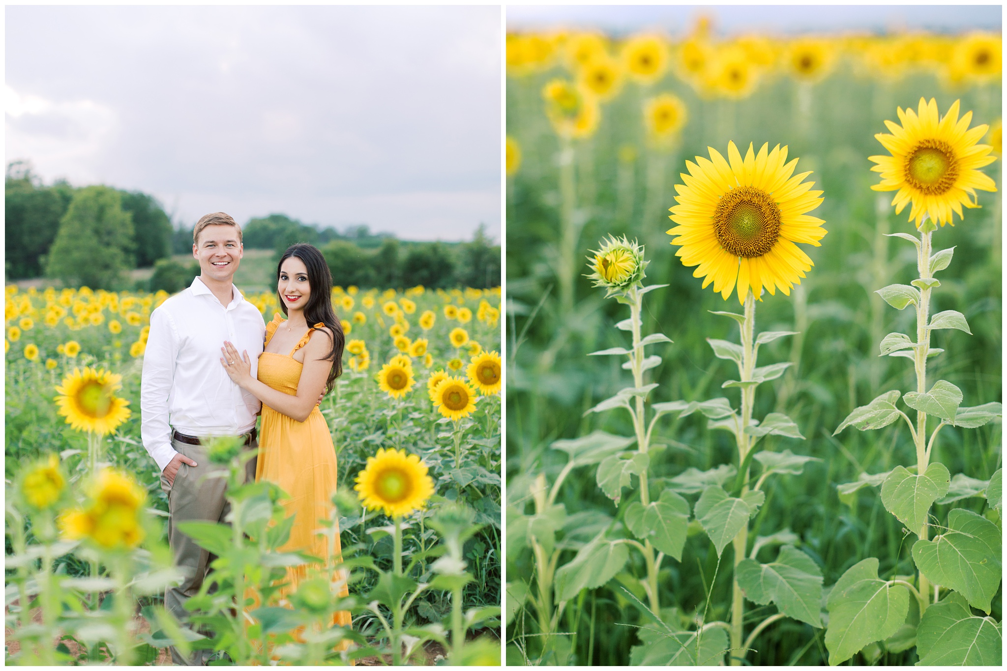 Burnside Farms Engagement