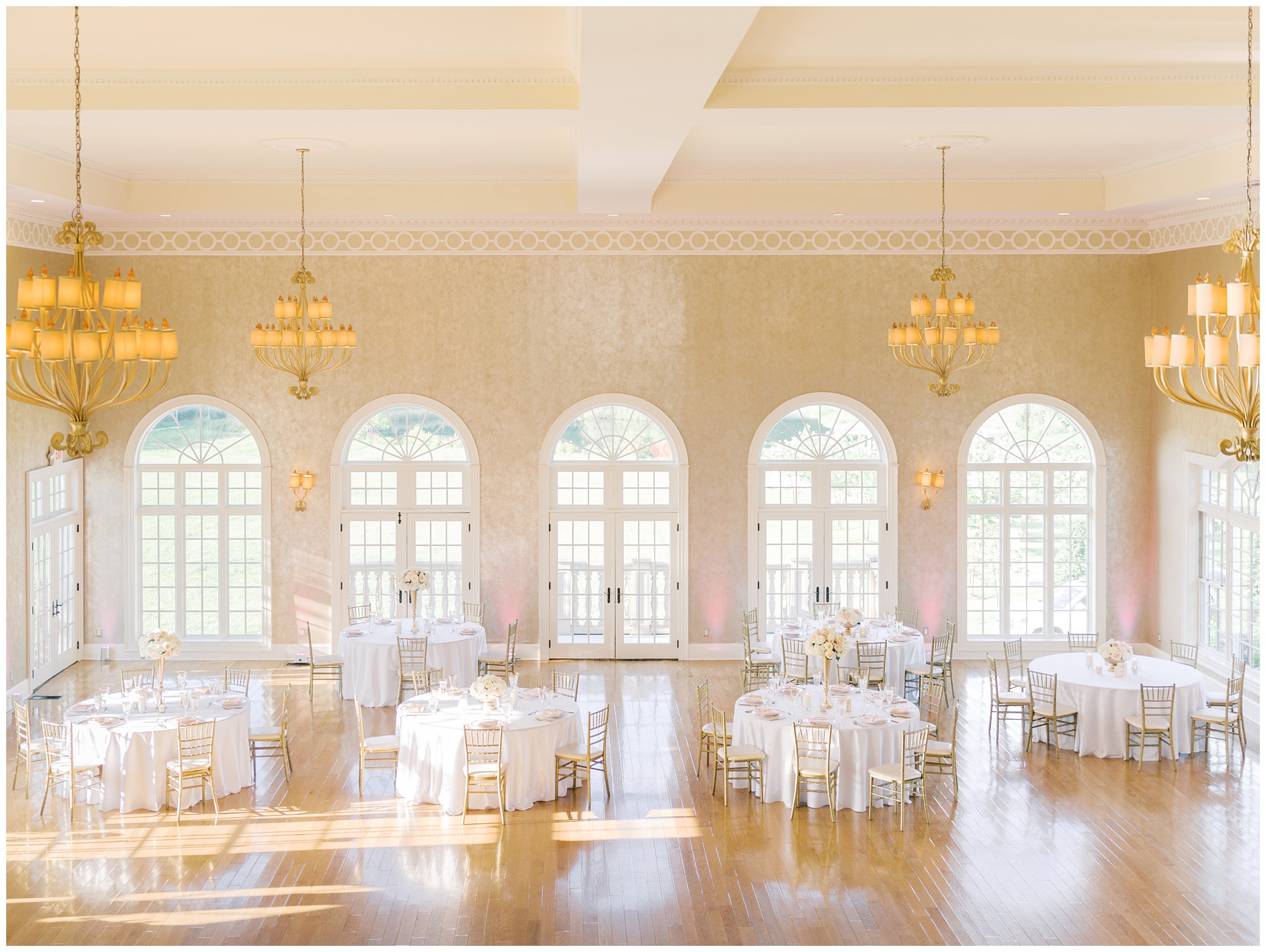 Morais Vineyards Wedding Reception