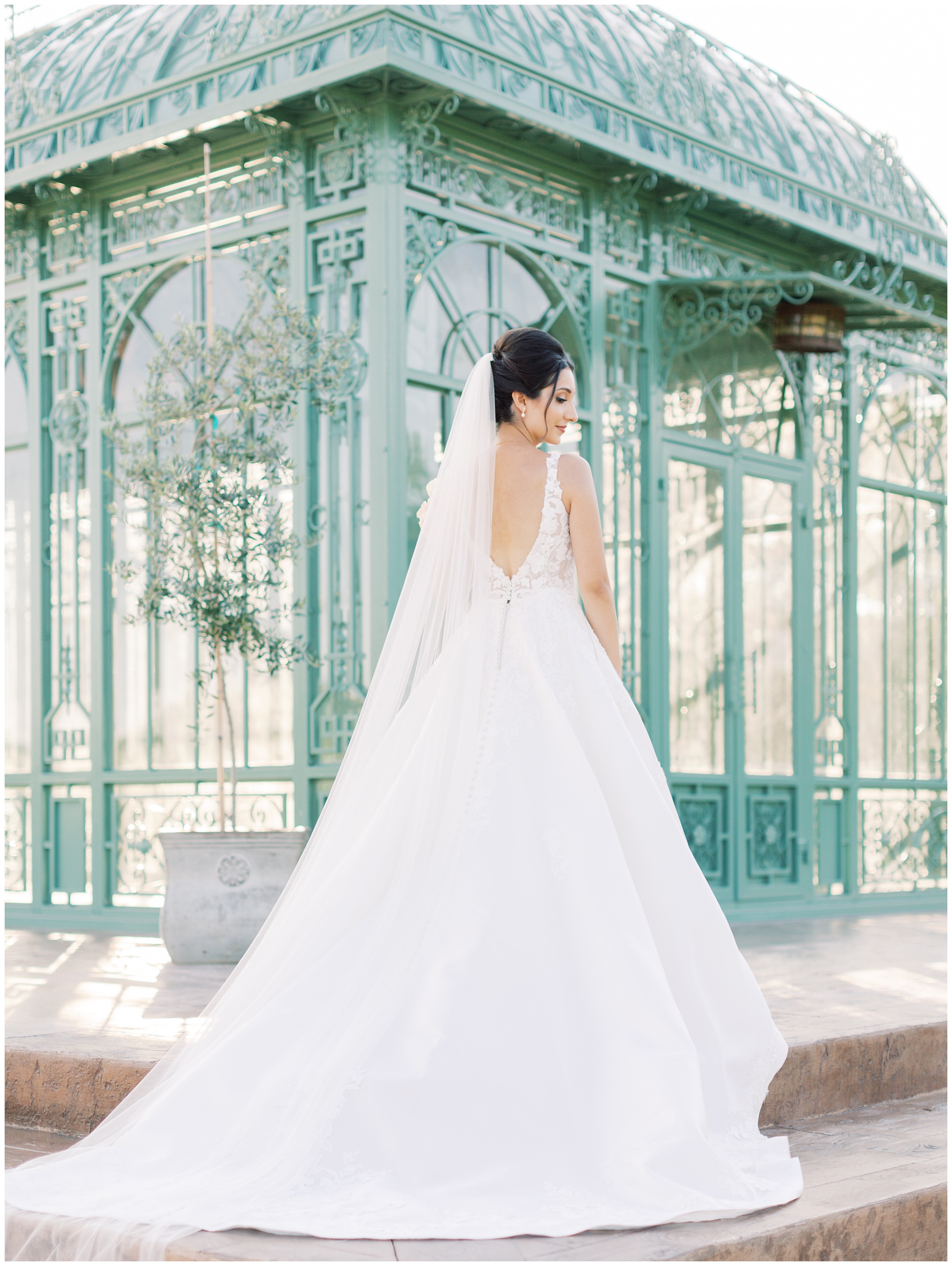 Morais Vineyards Wedding