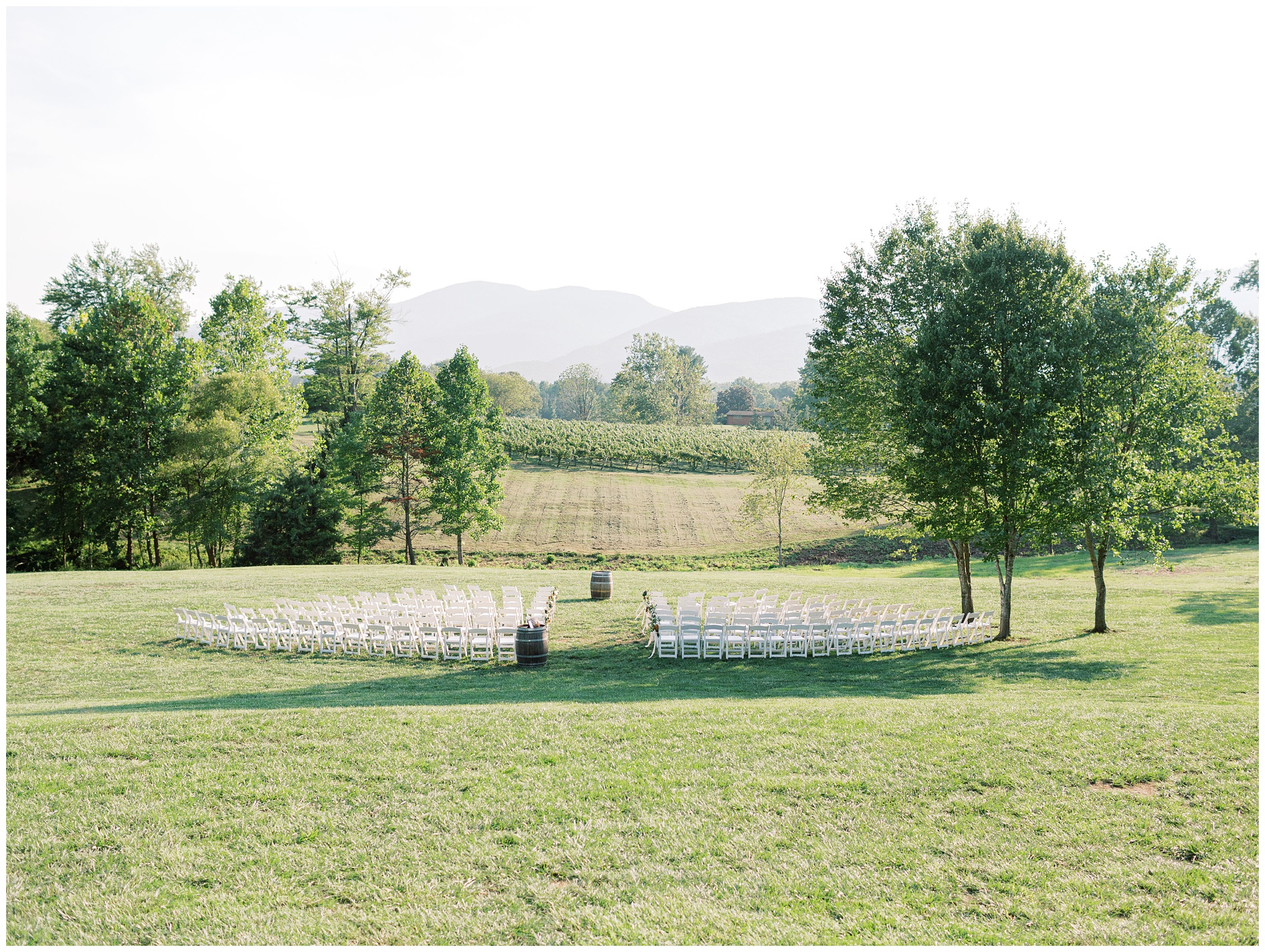 Veritas Vineyards & Winery wedding ceremony photo