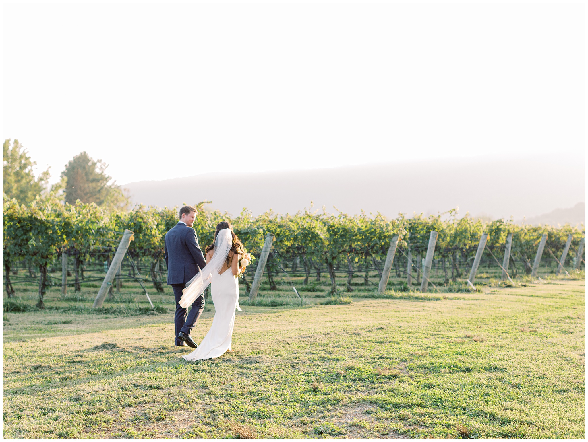 Veritas Vineyards & Winery wedding photo
