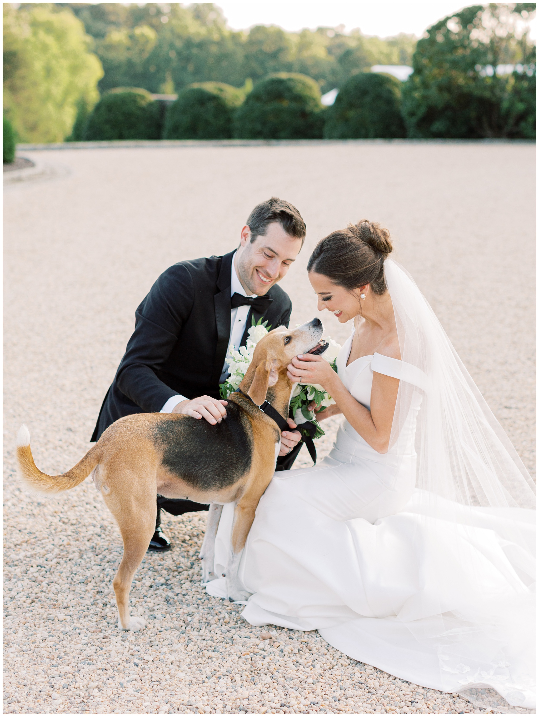 Newlywed portraits with best pup
