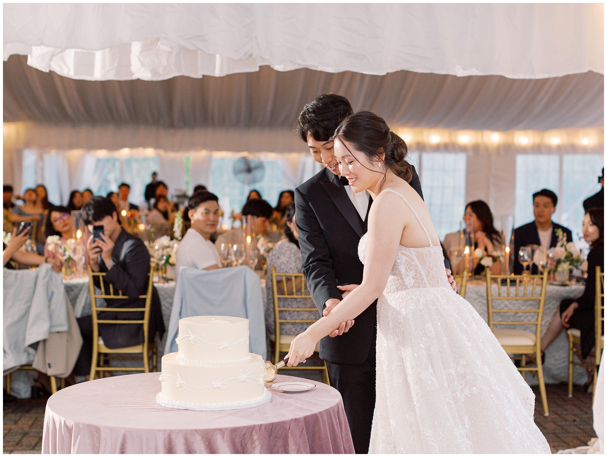 Oxon Hill Manor Wedding Reception Cake Cutting