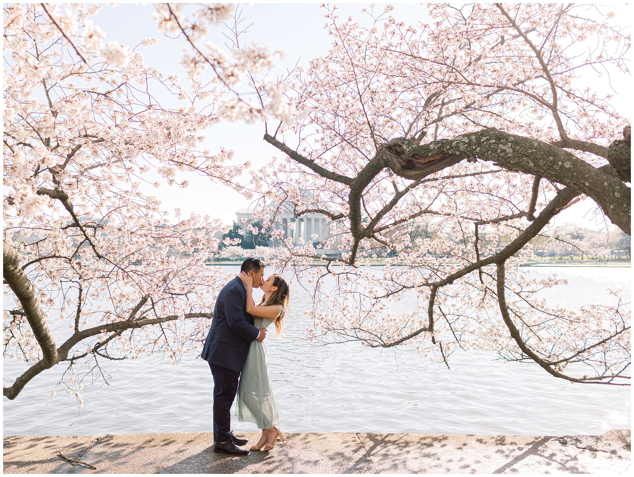 Cherry Blossom Tidal Basin Engagement Photo