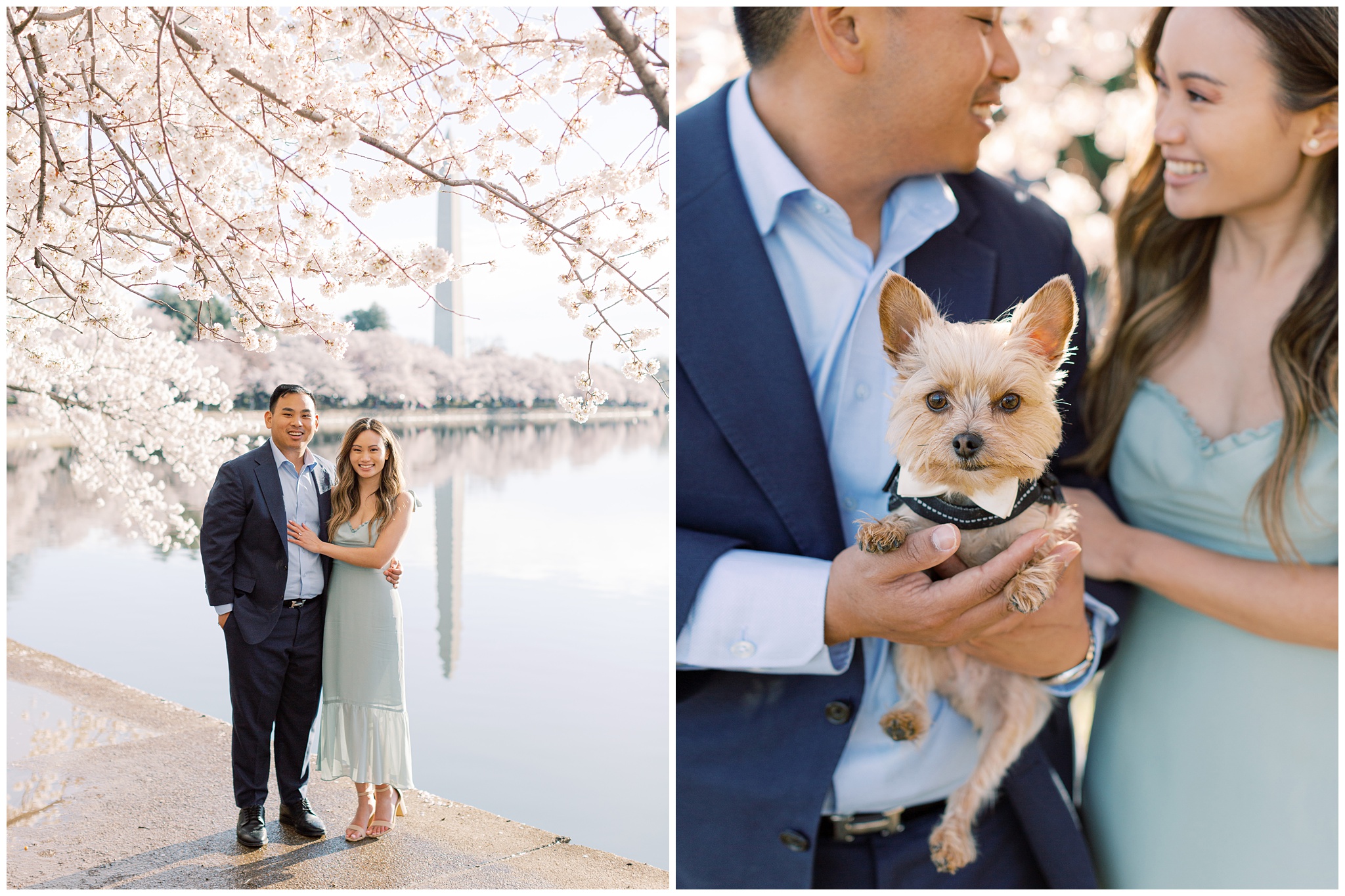 Cherry Blossom Tidal Basin Engagement Photo