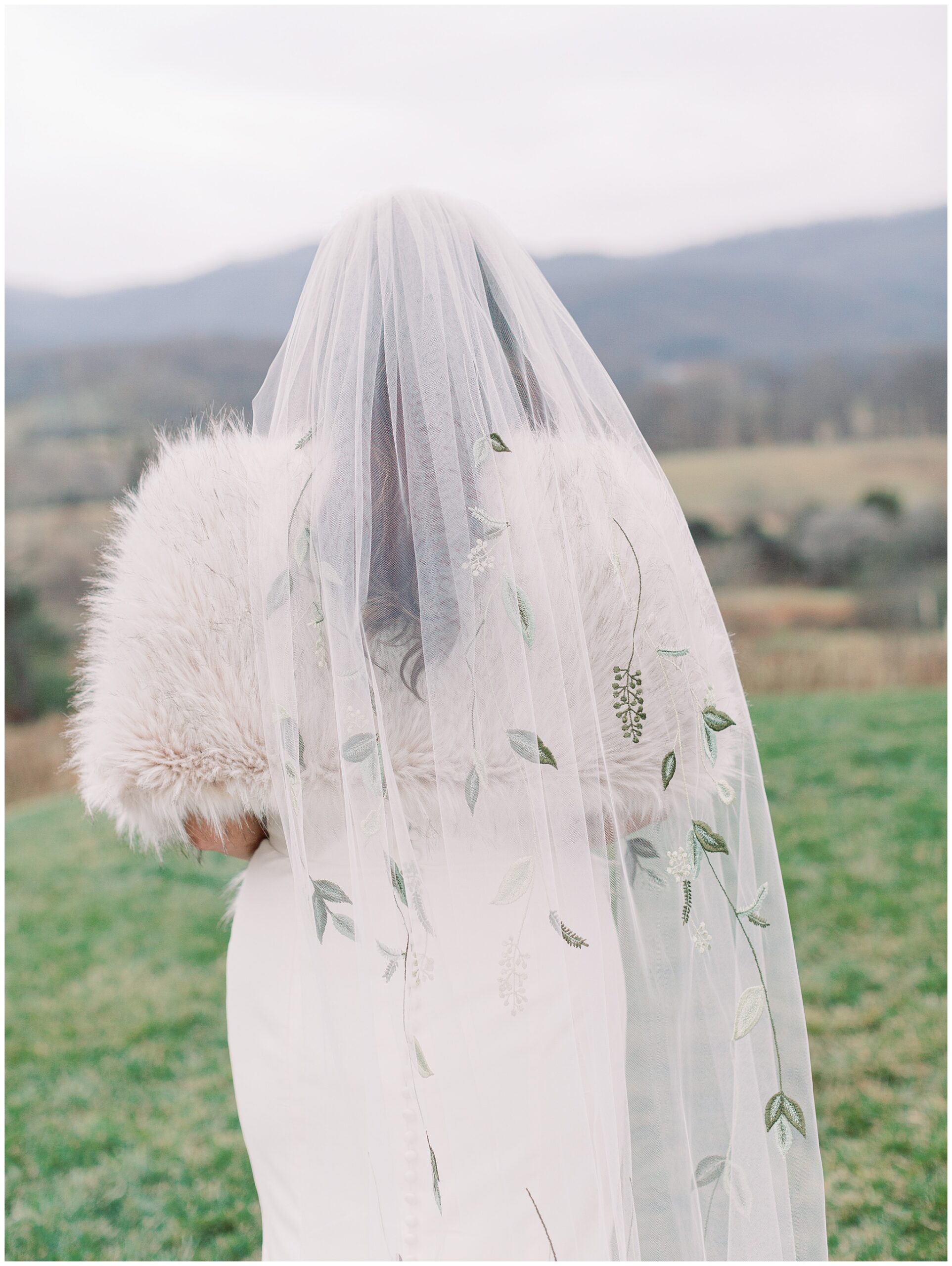 Bridal portrait from behind with focus on veil