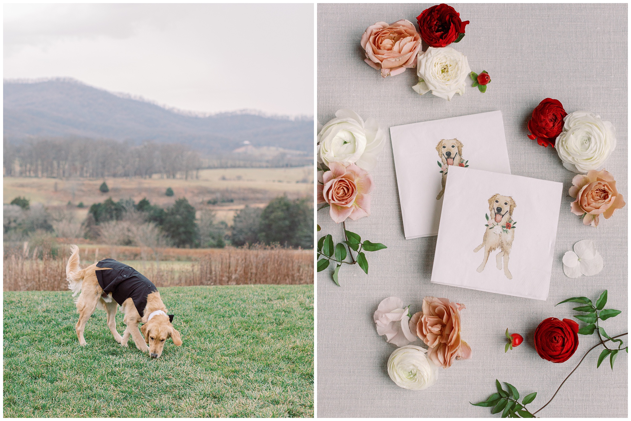 The bride and groom's pup
