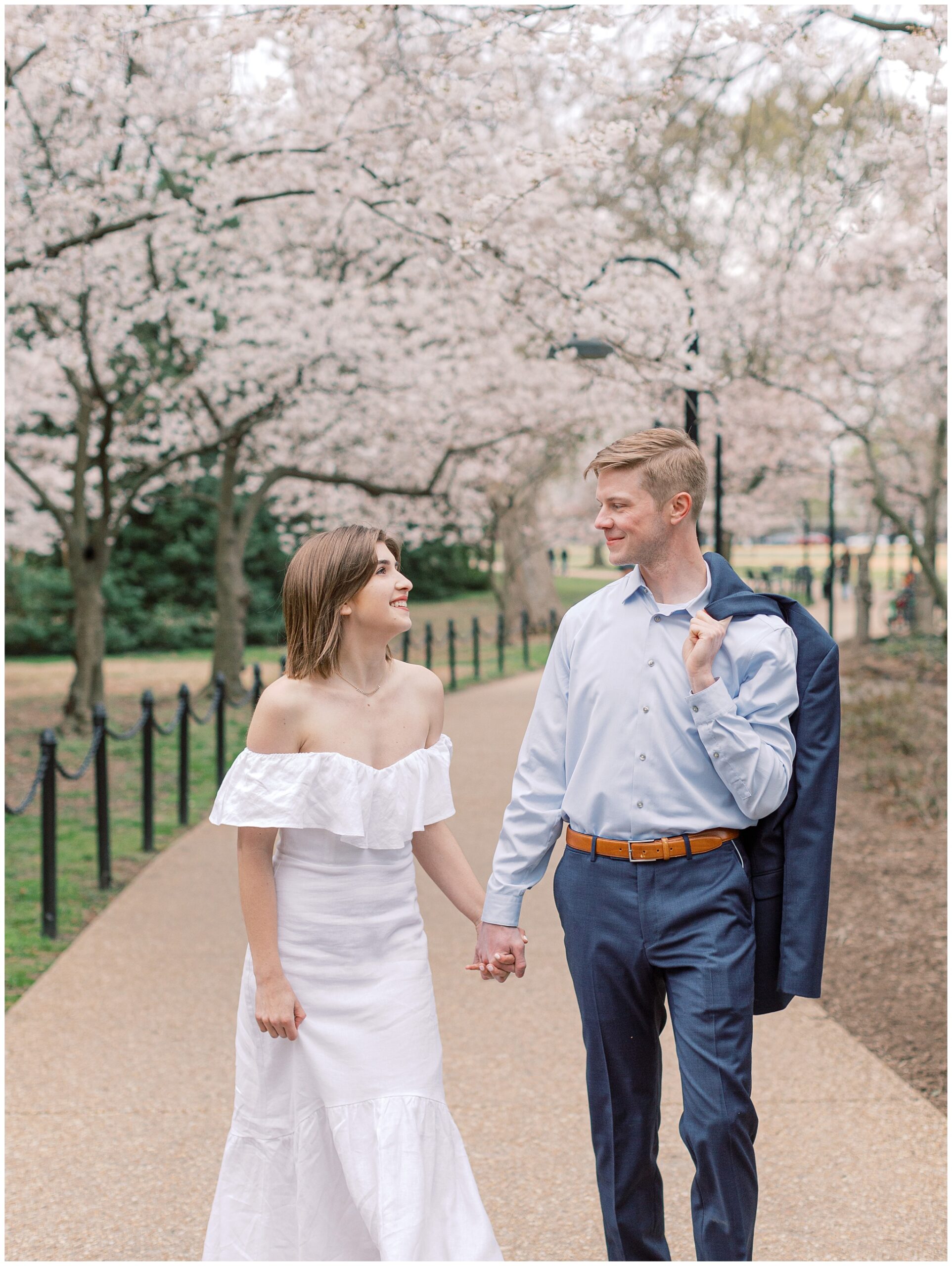 Cherry blossom lined pathway in Washington DC