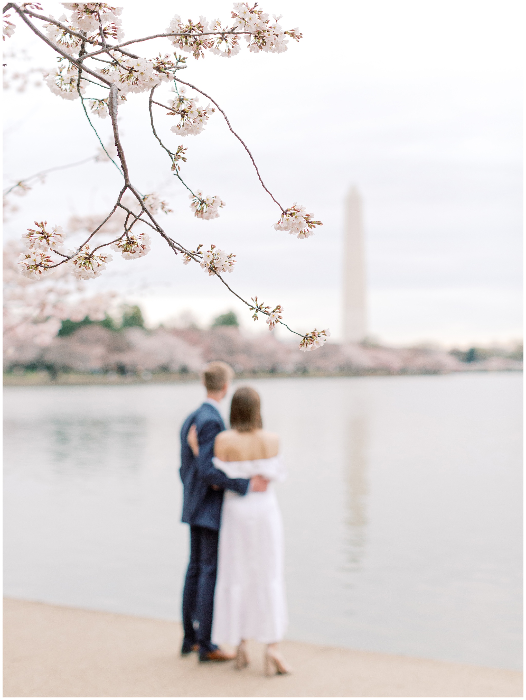 Tidal Basin Washington DC Cherry Blossom Engagement Photo