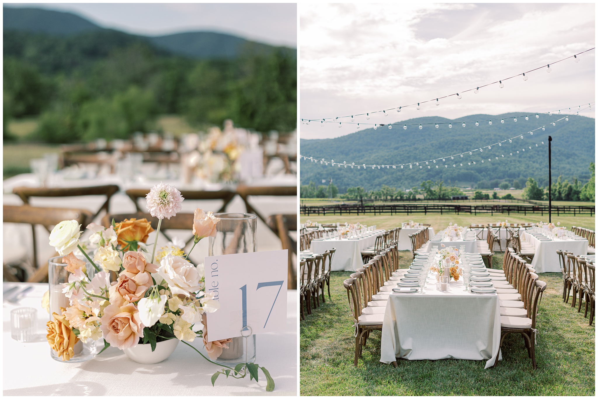 King Family Vineyards wedding reception photos