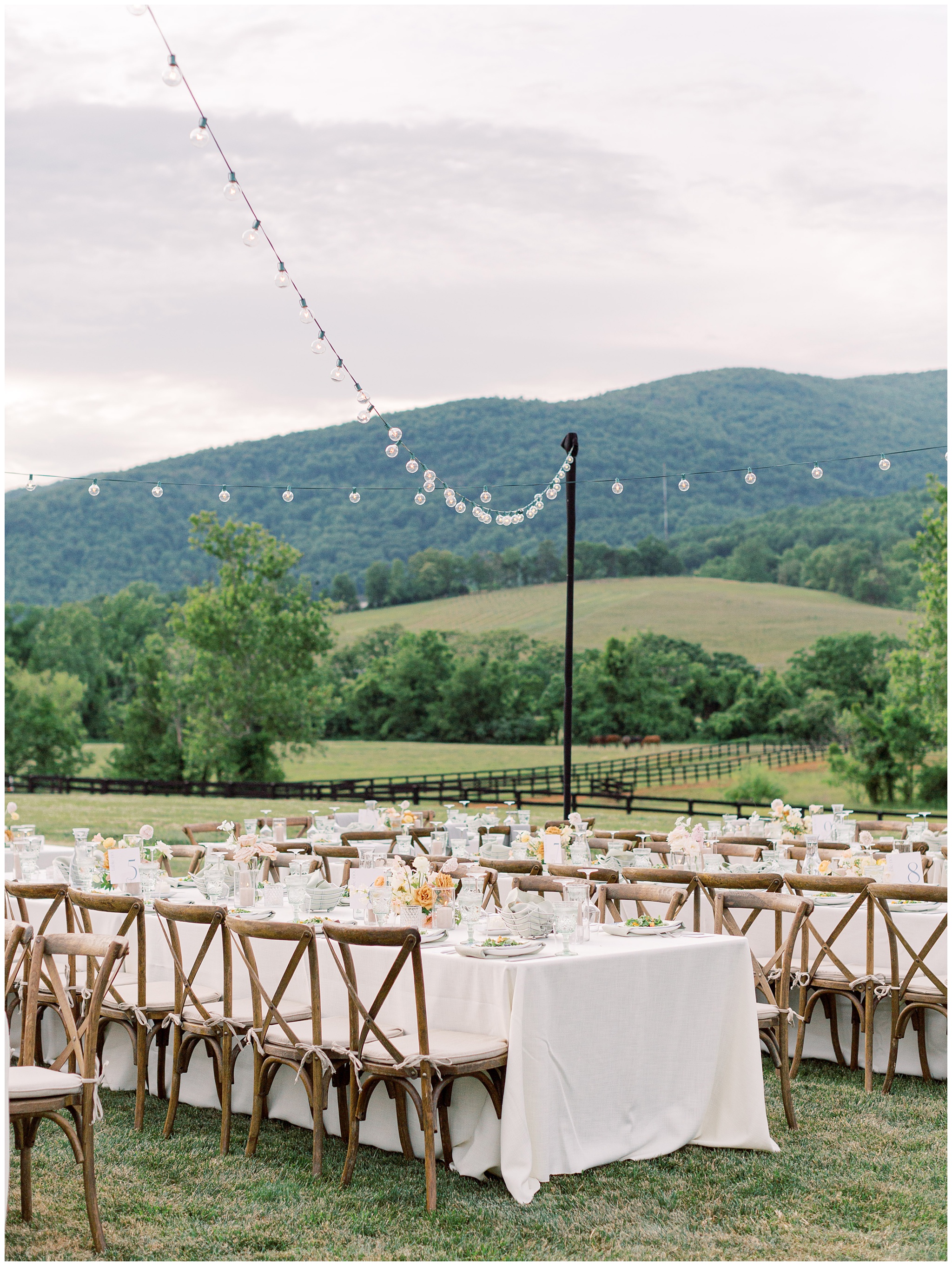 King Family Vineyards wedding reception photo