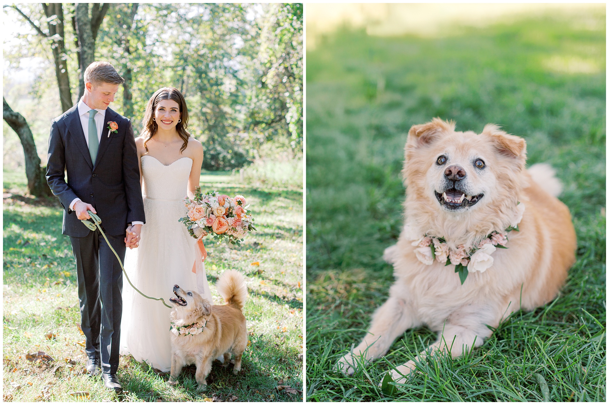 Oak Barn at Loyalty fall wedding photos of Bride and Groom and dog with floral necklace