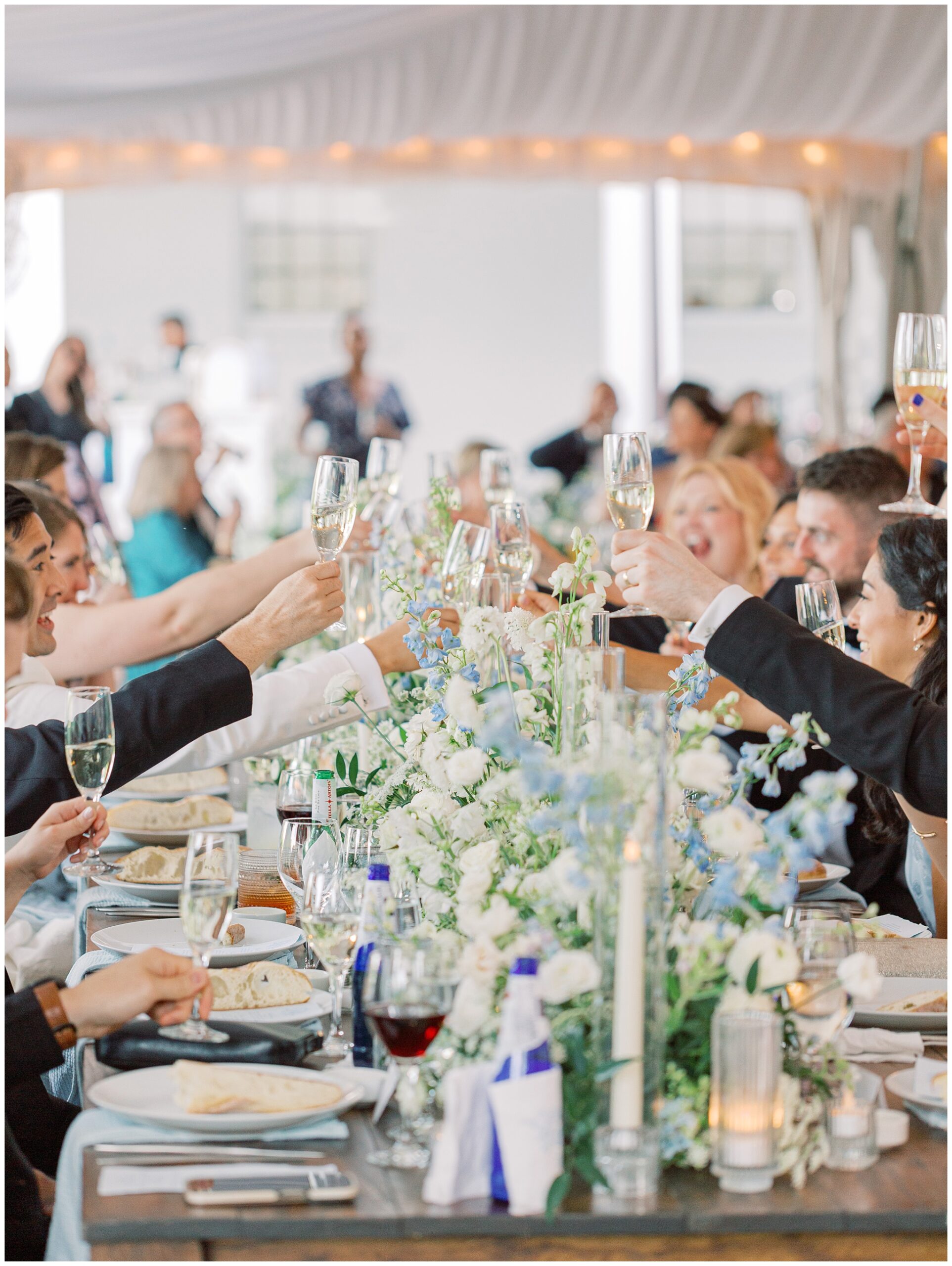 River Farm wedding reception cheersing photo
