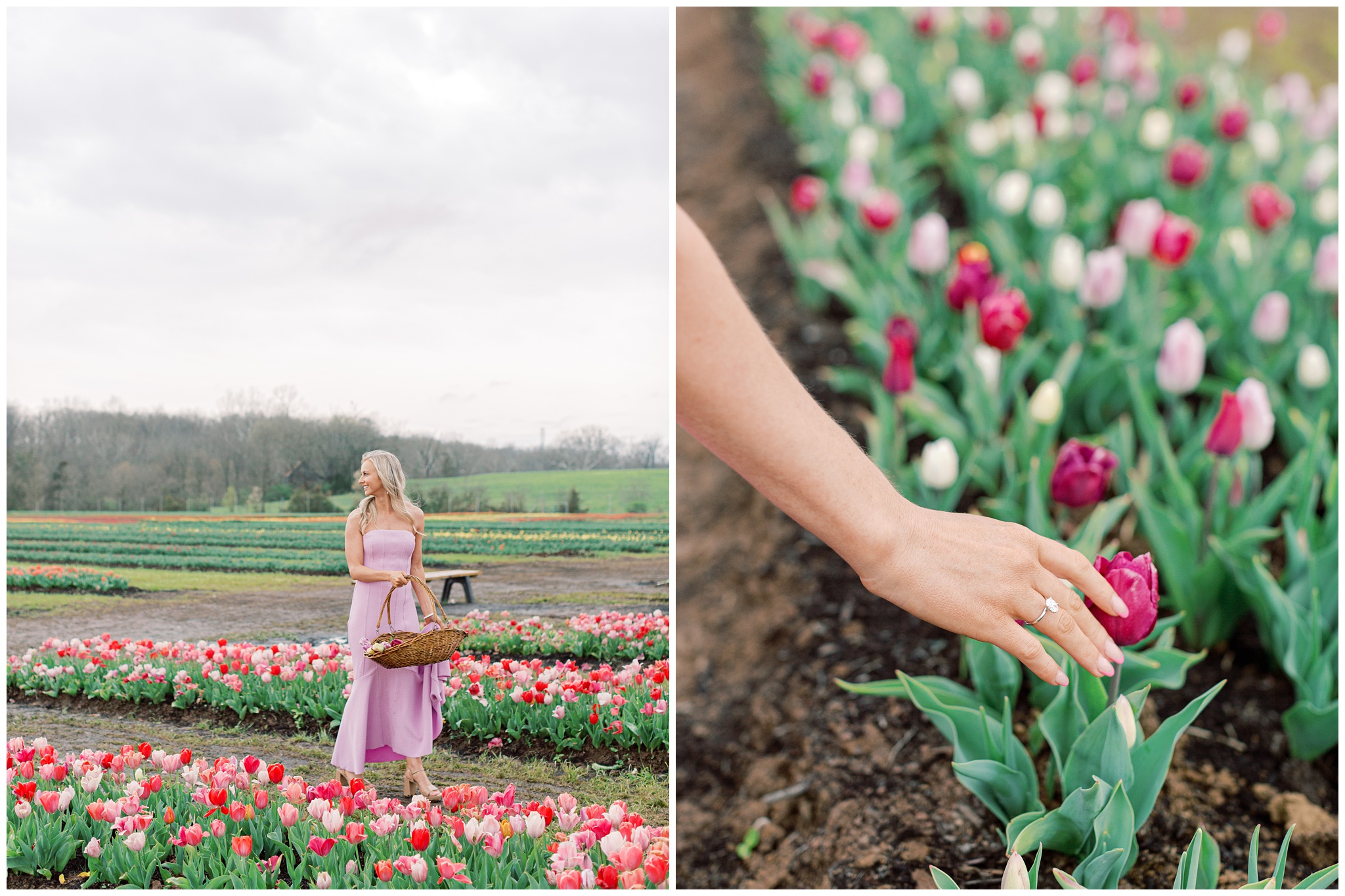 Burnside Farms tulip engagement photo in the spring tulip fields