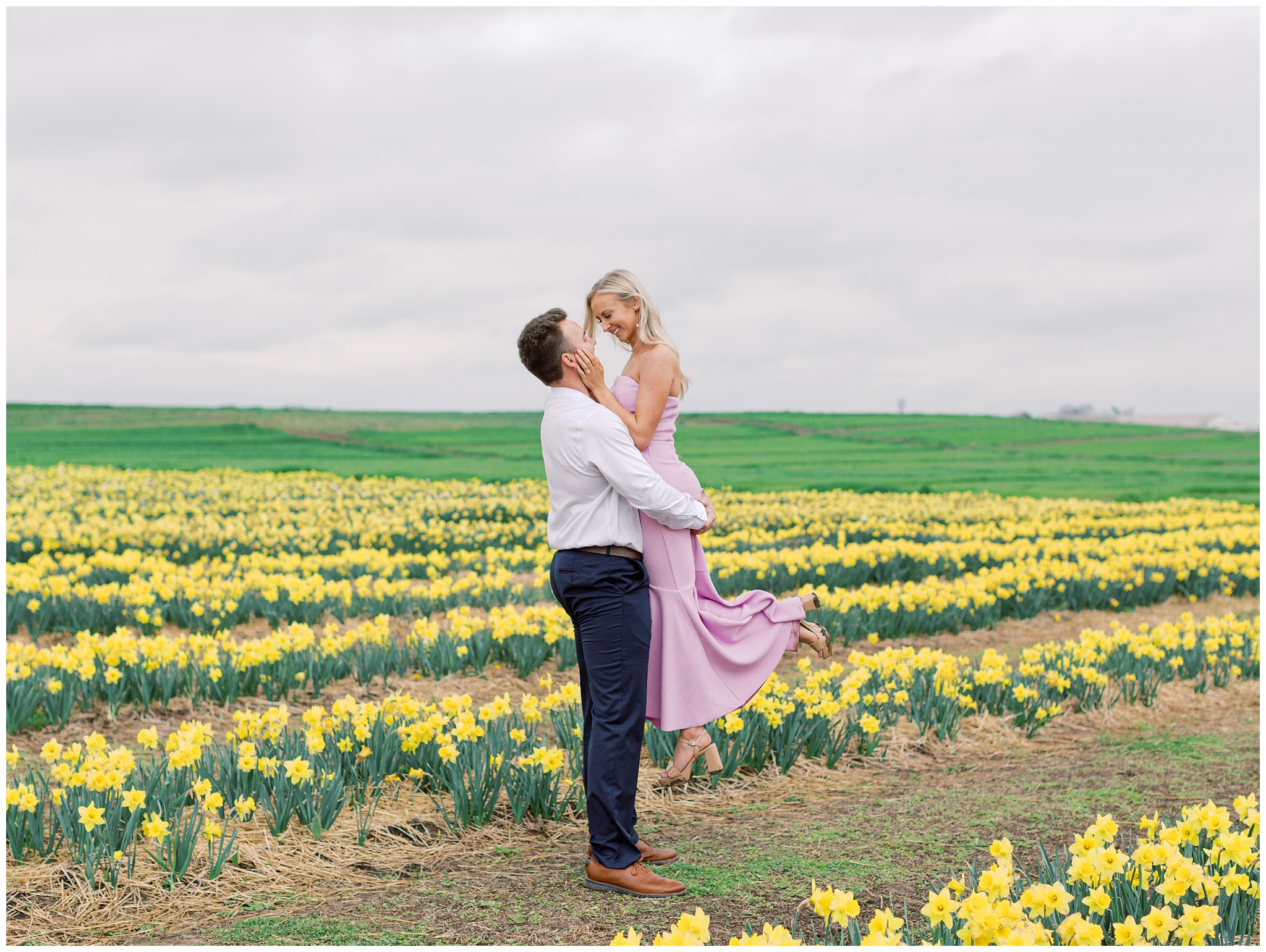 daffodil fields at Burnside Farms