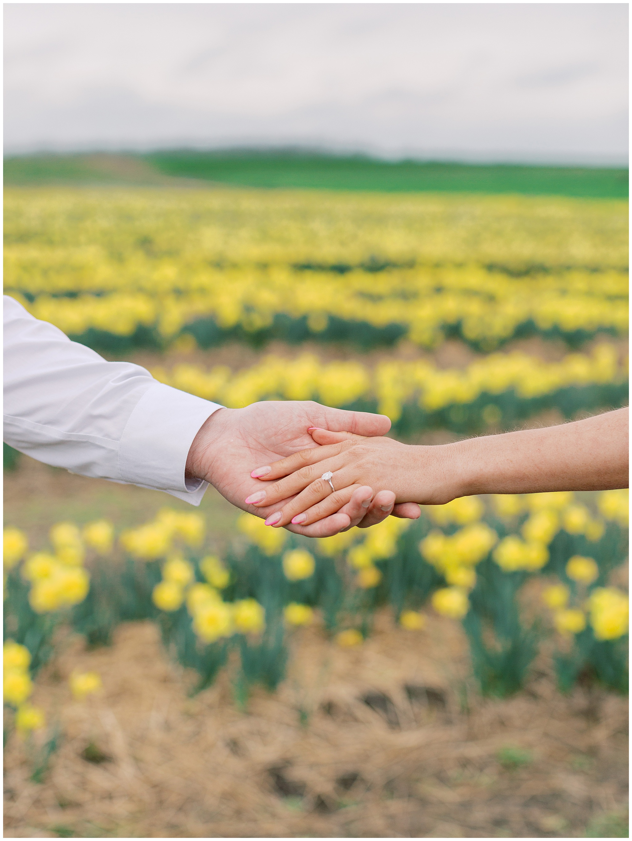 close up photo of ring in front of daffodils