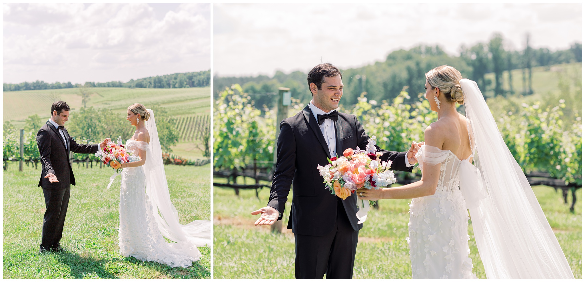 Bride and Groom first look in the vines