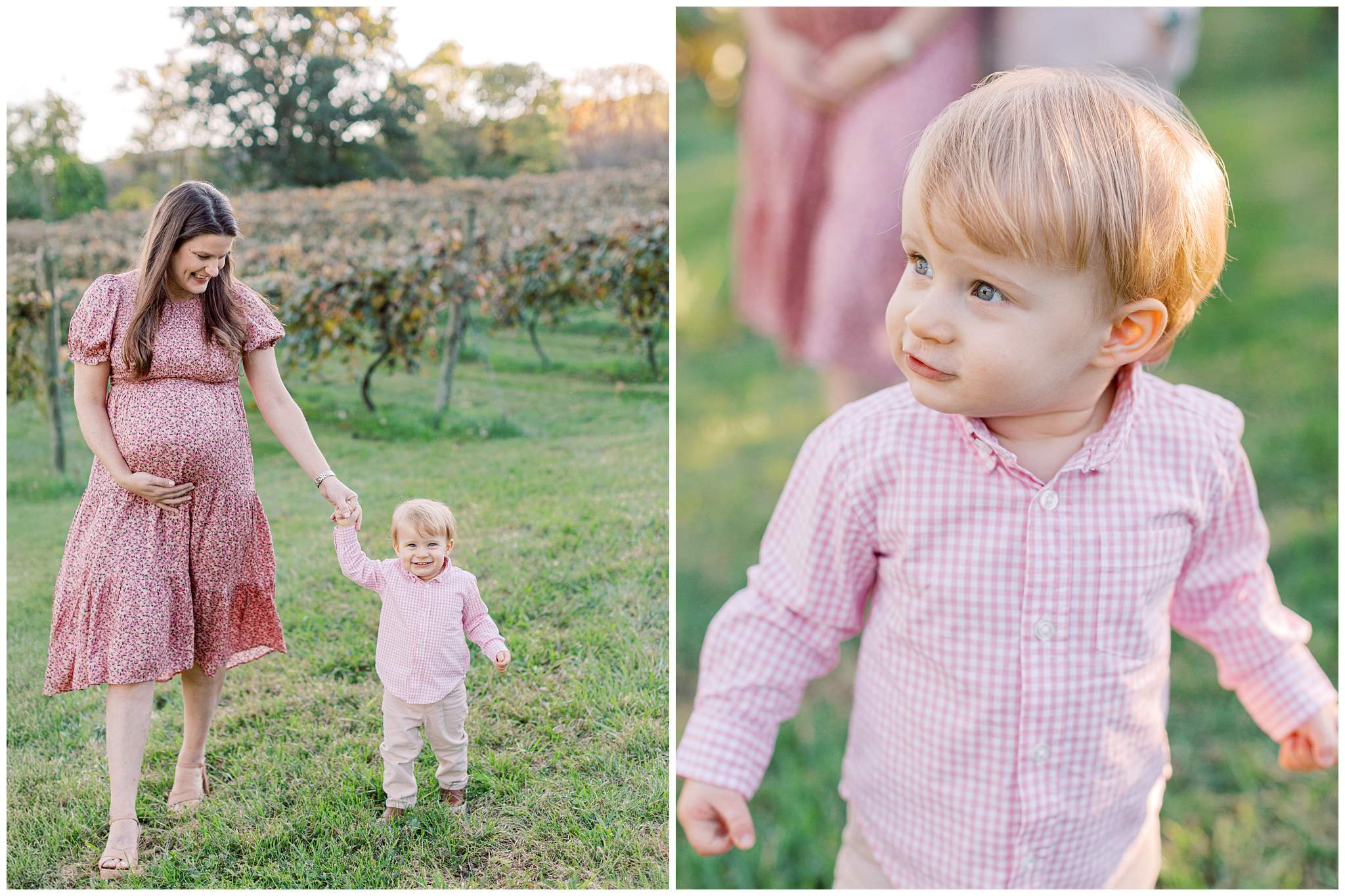 Family walking through the vineyard during a fall Bluemont Vineyard session