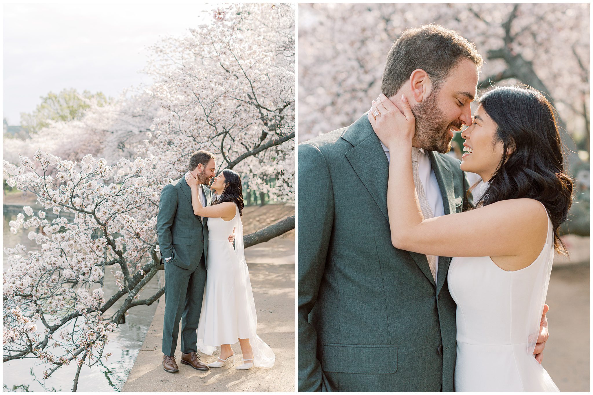 Jefferson Memorial cherry blossom engagement session at peak bloom in Washington DC