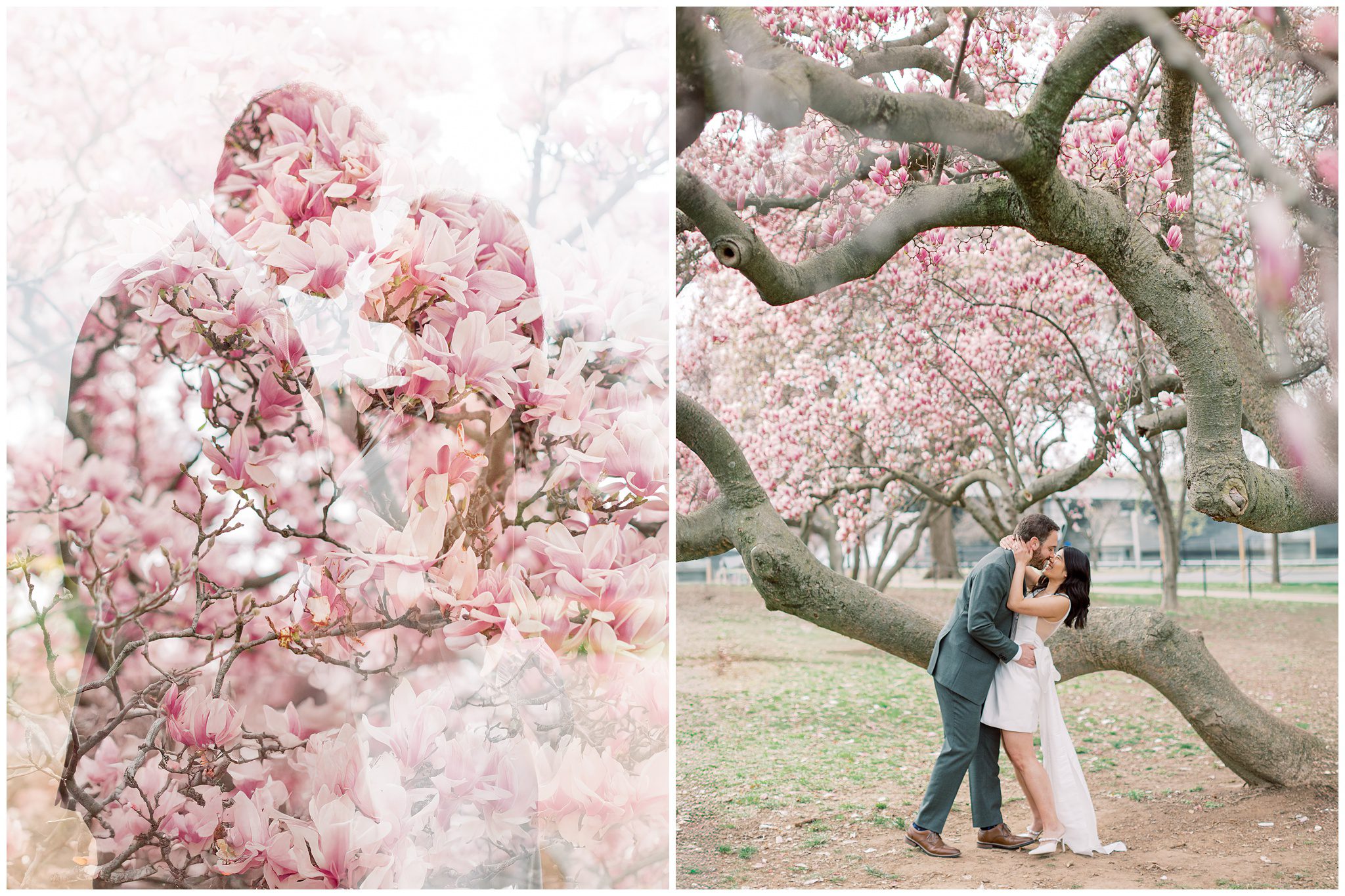 Spring engagement session with magnolias near the Jefferson Memorial