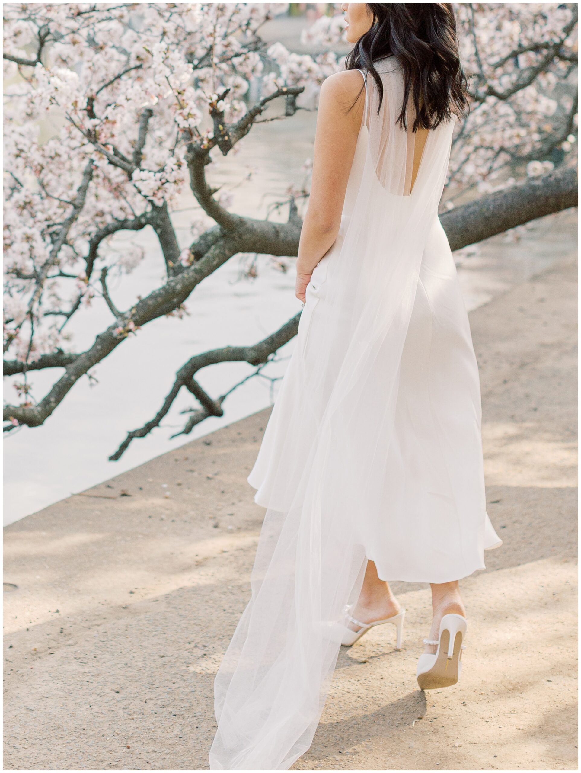 White engagement dress with gauze shawl photographed at the Tidal Basin during peak cherry blossom