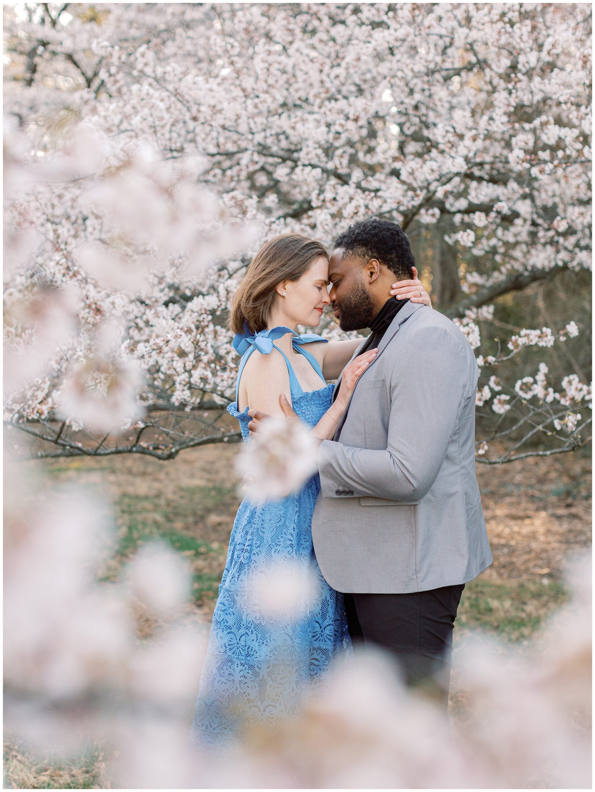 Caroline and Ebuka during their cherry blossom engagement session at the National Arboretum in Washington, DC, surrounded by soft pink and white blooms on a spring morning.