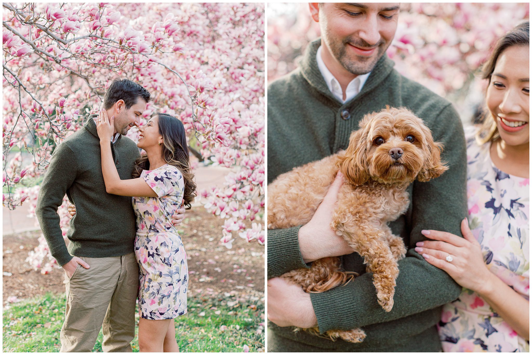 Their Cavapoo, Leo, posing with Lynette and Alex at Enid A. Haupt Garden magnolias