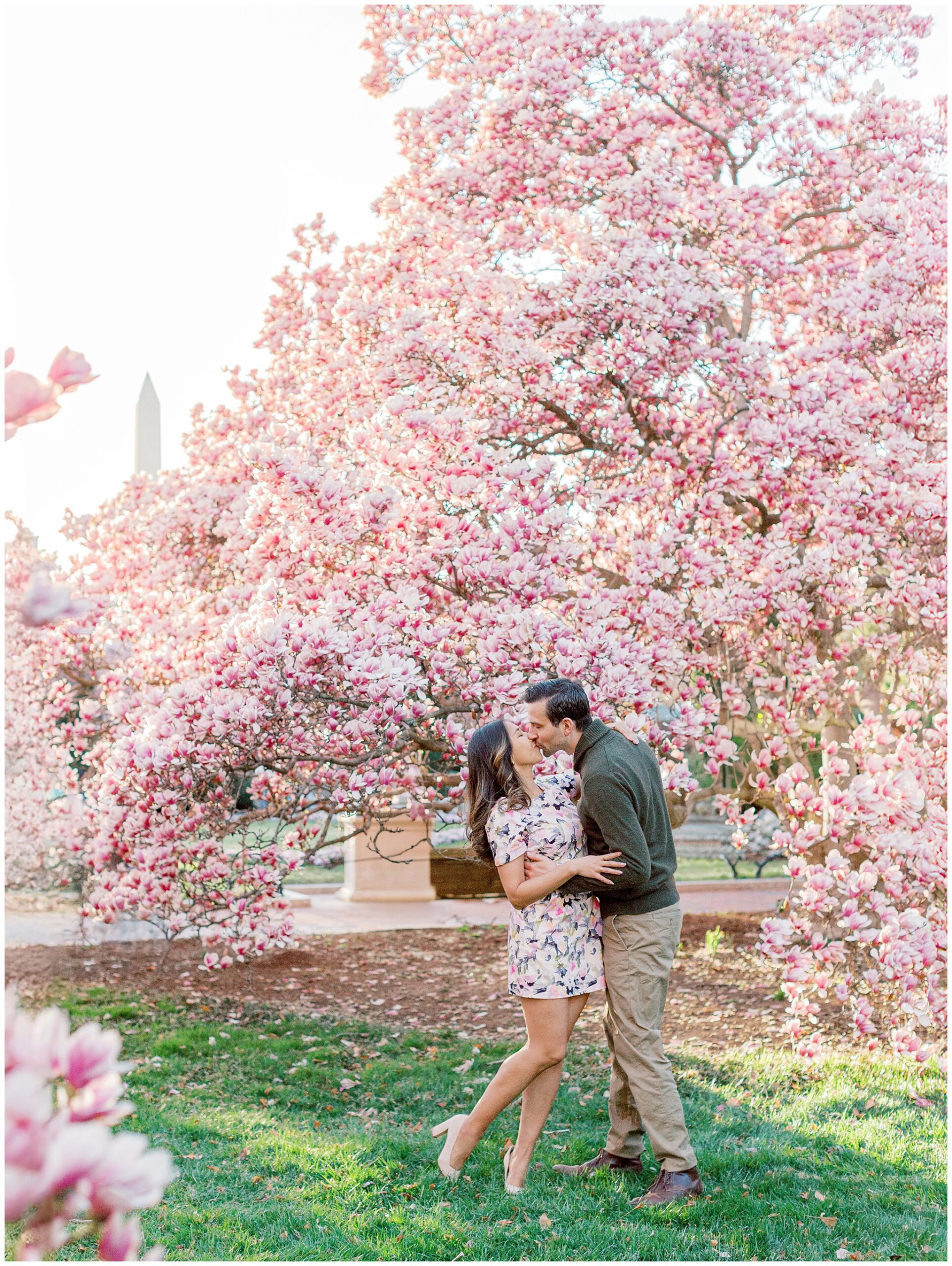 Lynette and Alex enjoying a golden hour magnolia engagement session at Enid A. Haupt Garden in Washington DC