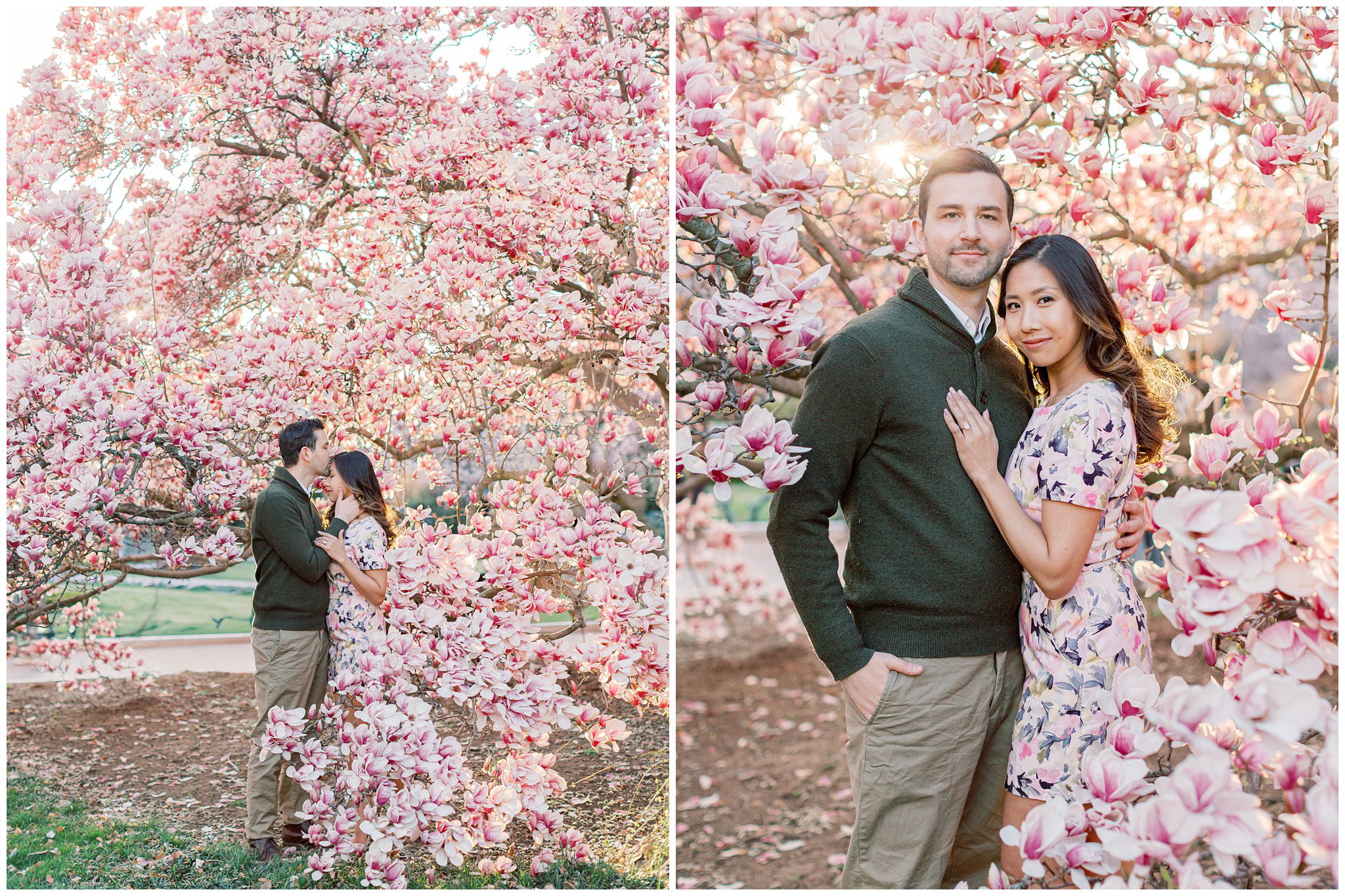 Romantic engagement portrait of Lynette and Alex surrounded by magnolia blossoms in Washington DC