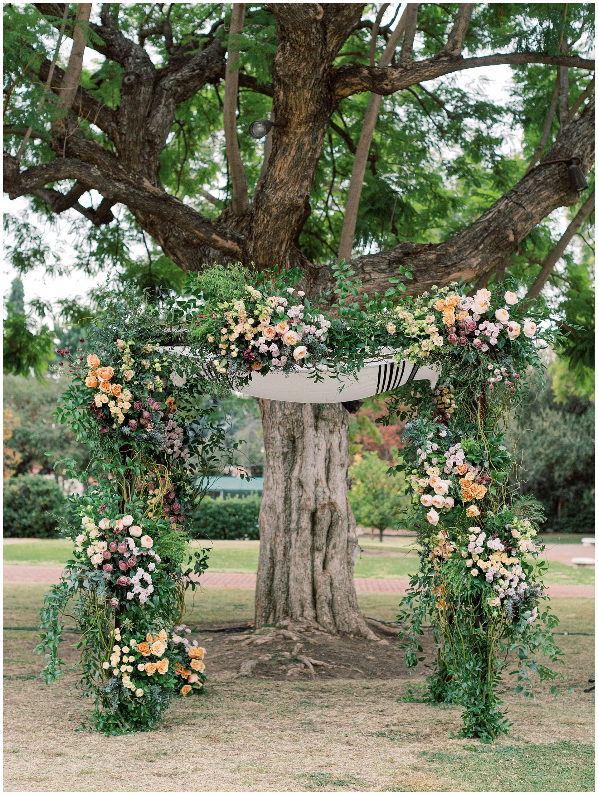 Floral-filled chuppah beneath the jacaranda tree at the Caltech Athenaeum for an outdoor wedding ceremony on the Caltech campus