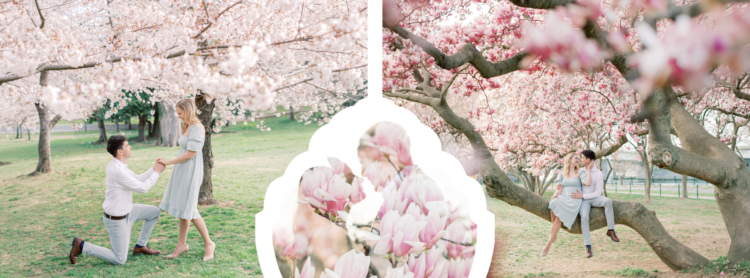 Proposal photos at the Tidal Basin in Washington DC